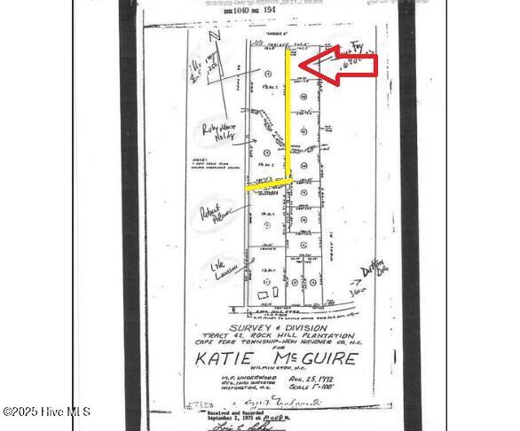 13 Rockhill Road Castle Hayne, NC 28429 - Photo 4 of 11 yellow line showing easement. red arrow