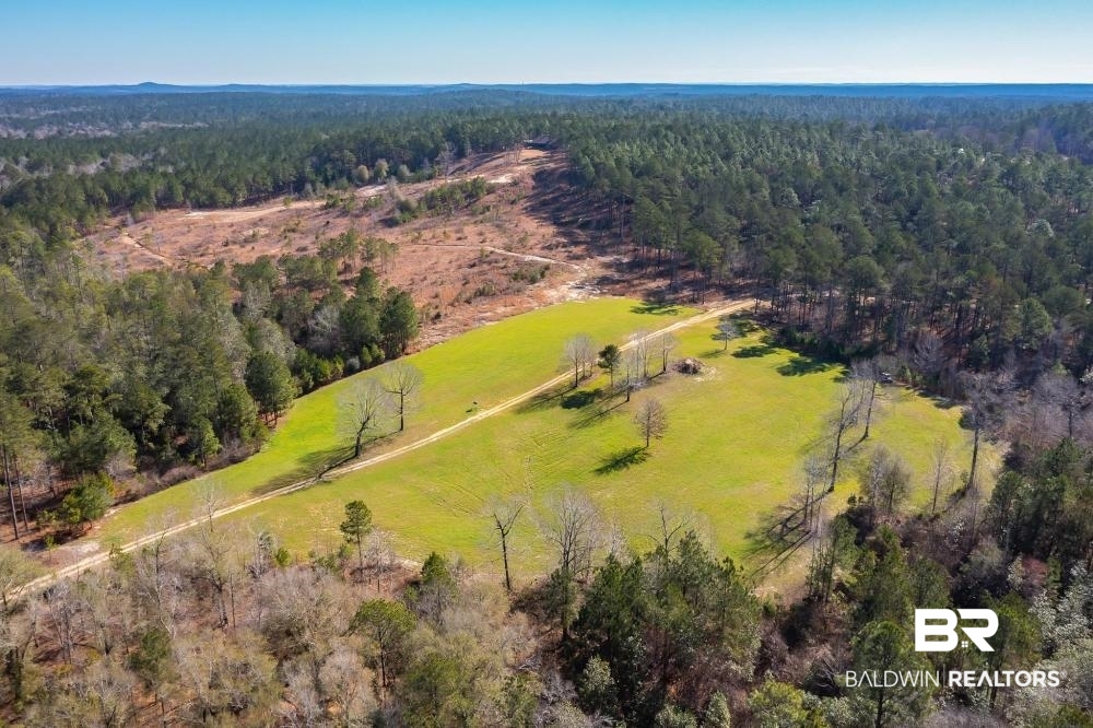 0 Private Road Millry, AL 36558 - Photo 17 of 50