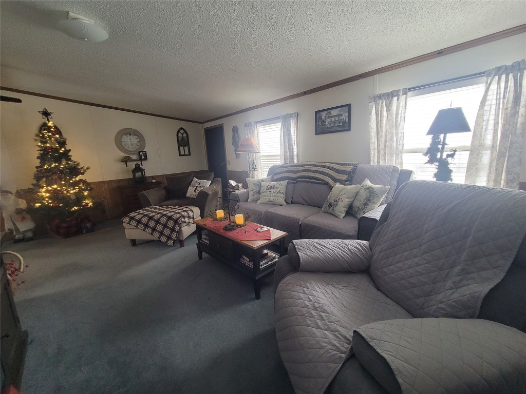 72 Dominic Road Candor, NY 13743 - Photo 20 of 47 Gallery Image 20