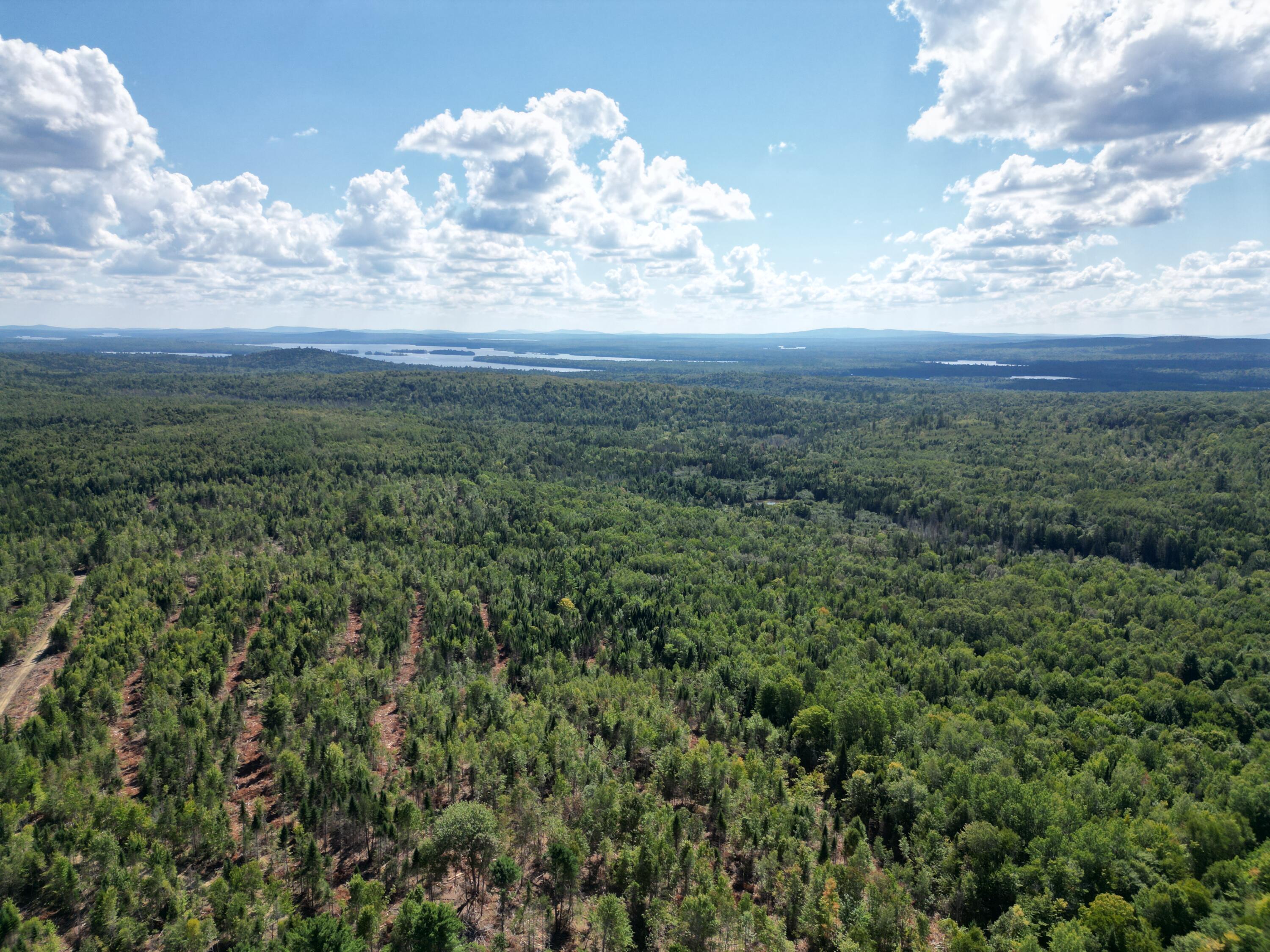 Off Getchell Mountain Road Carroll Plt, ME 04487 - Photo 23 of 23 DJI_0456