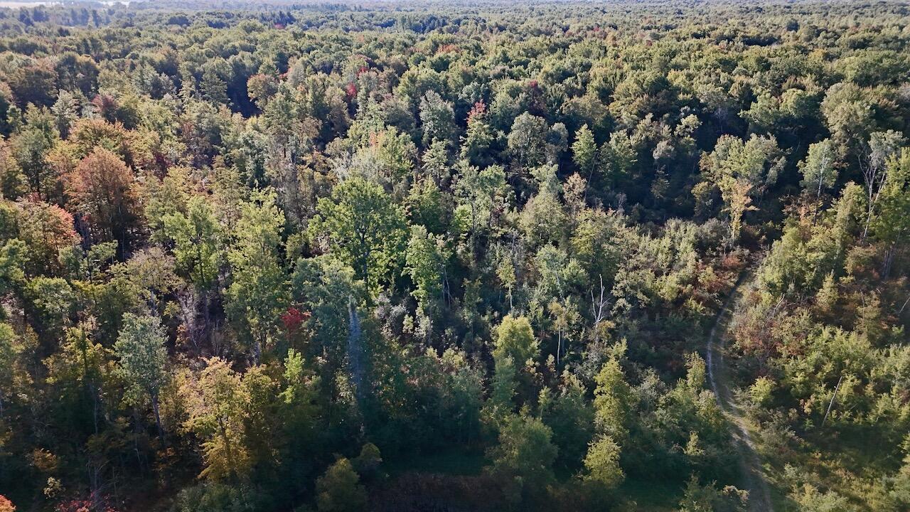 190 North Crawford Road Twining, MI 48766 - Photo 3 of 60 003