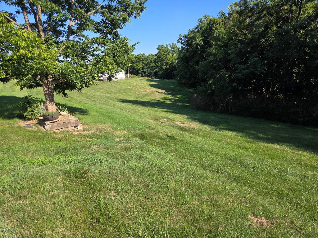 1737 Tea Run Road Ewing, KY 41039 - Photo 42 of 44 35