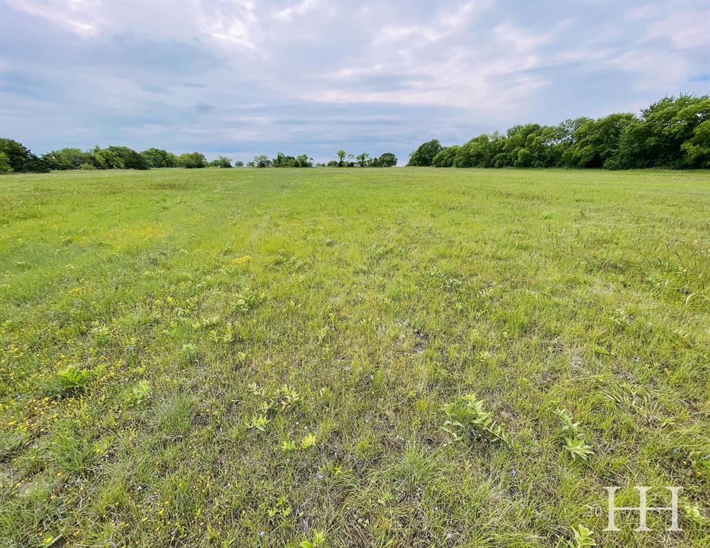 Tbd Lot 2 Tbd Gunter, TX 75058 - Photo 8 of 9 a view of a lush green field