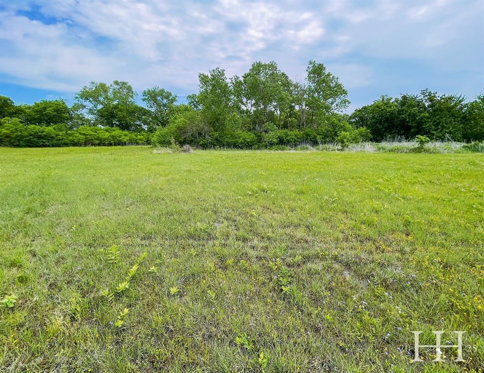 Tbd Lot 2 Tbd Gunter, TX 75058 - Photo 9 of 9 a view of a garden with a building in the background