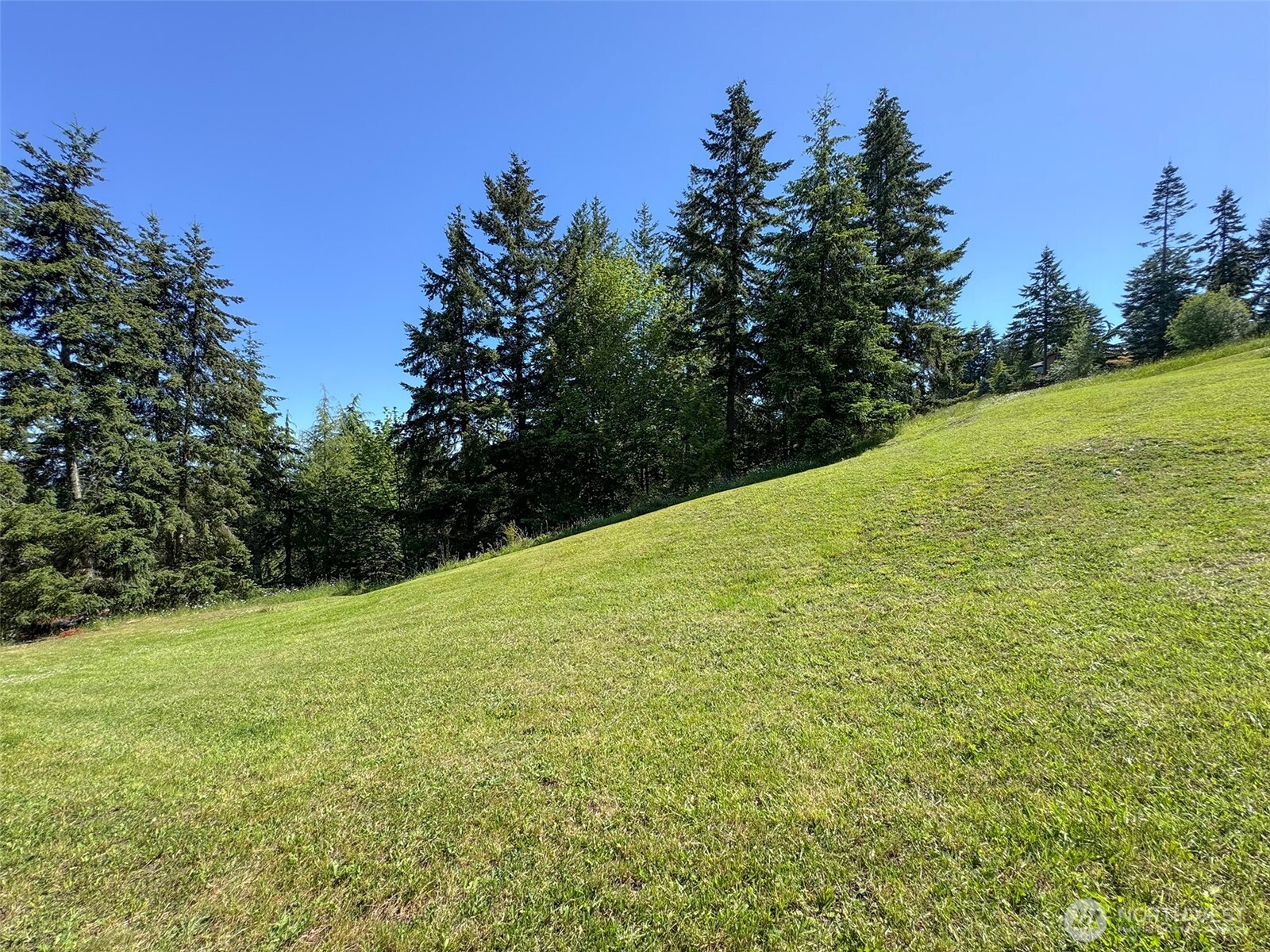 1 Owls Nest Road Sequim, WA 98382 - Photo 23 of 31 a view of a field with a tree in the background