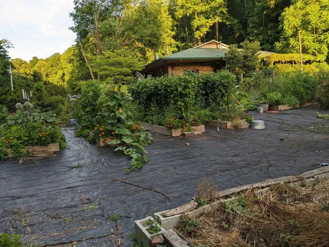 $995,000 | 168 Three Springs Road, Nunnelly, TN 37137