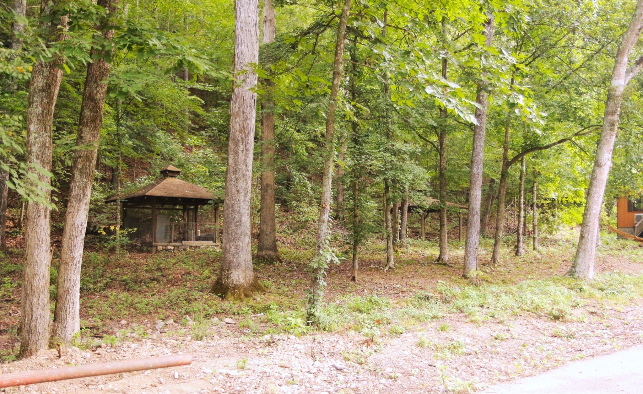 168 Three Springs Road Nunnelly, TN 37137 - Photo 64 of 65 a backyard of a house with lots of green space