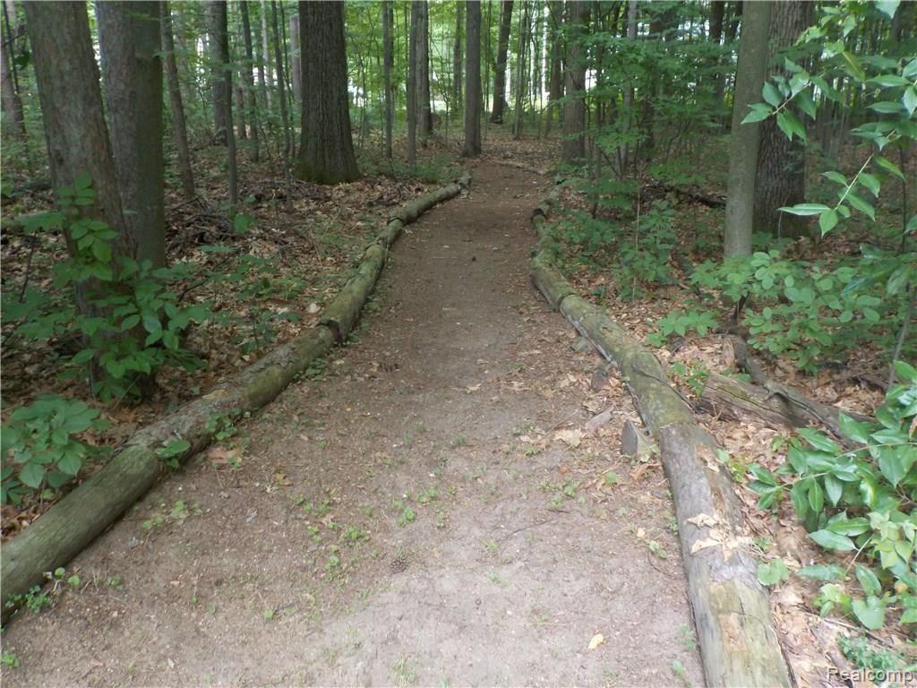 15275 Murray Road Byron, MI 48418 - Photo 4 of 18 back yard 2.JPG