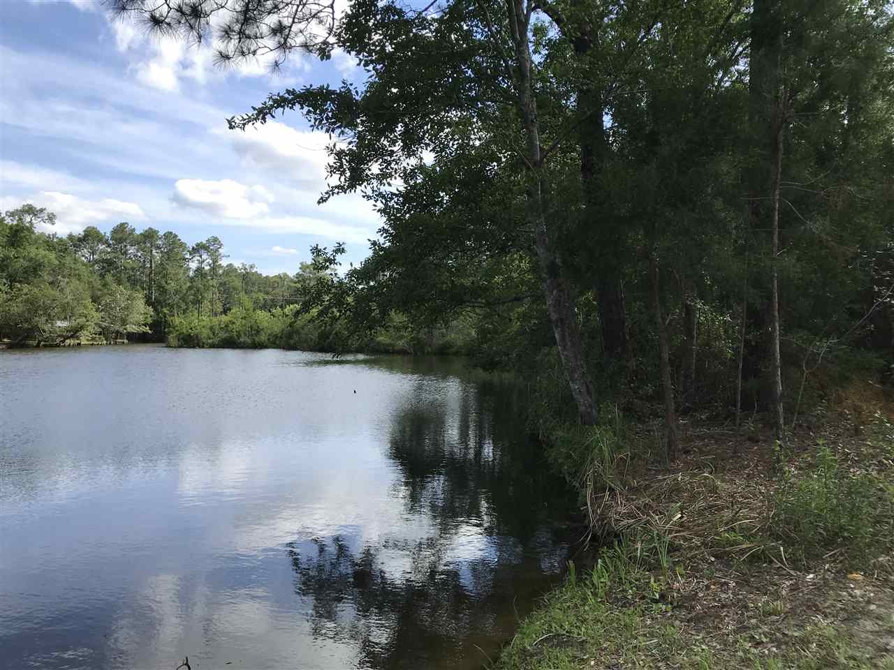 0 Boynton Road Elberta, AL 36530 - Photo 3 of 29