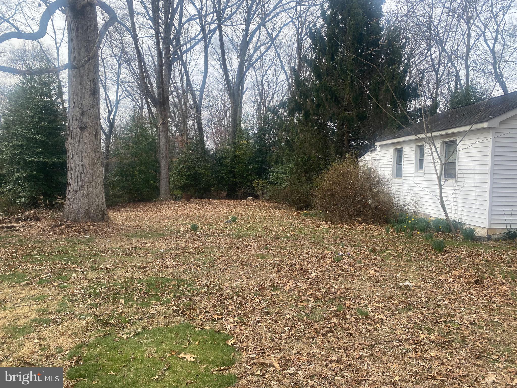 1104 Springvale Road Great Falls, VA 22066 - Photo 4 of 16