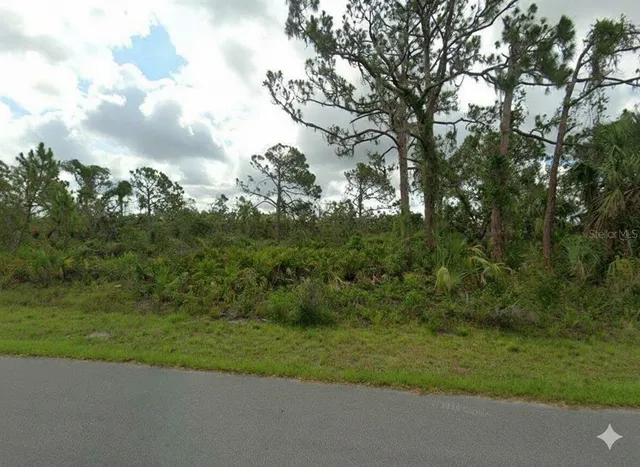 a view of a field of grass and trees