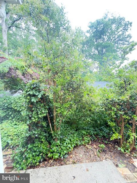 7135 Oak Ridge Road Falls Church, VA 22042 - Photo 40 of 41 a view of a garden with plants