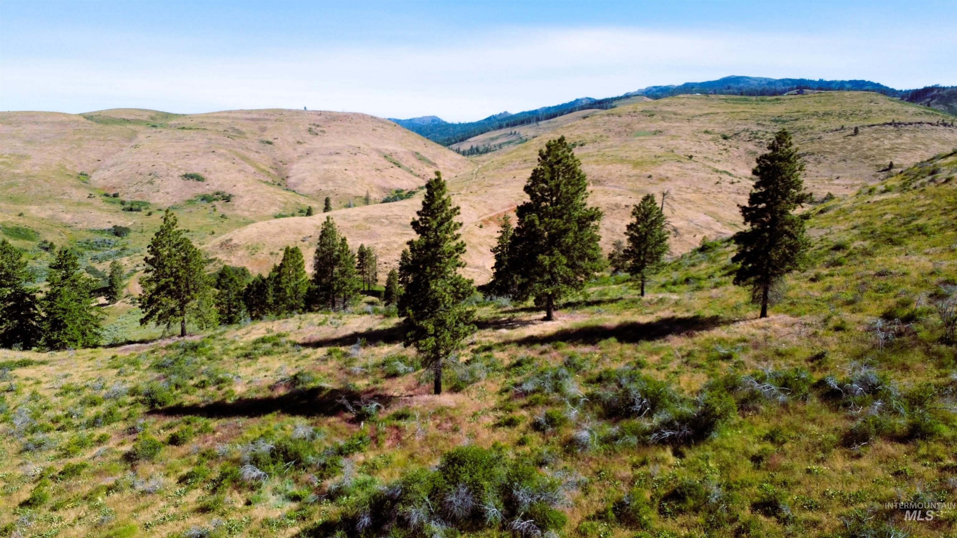 Tbd Advent Gulch Road Cambridge, ID 83610 - Photo 1 of 24