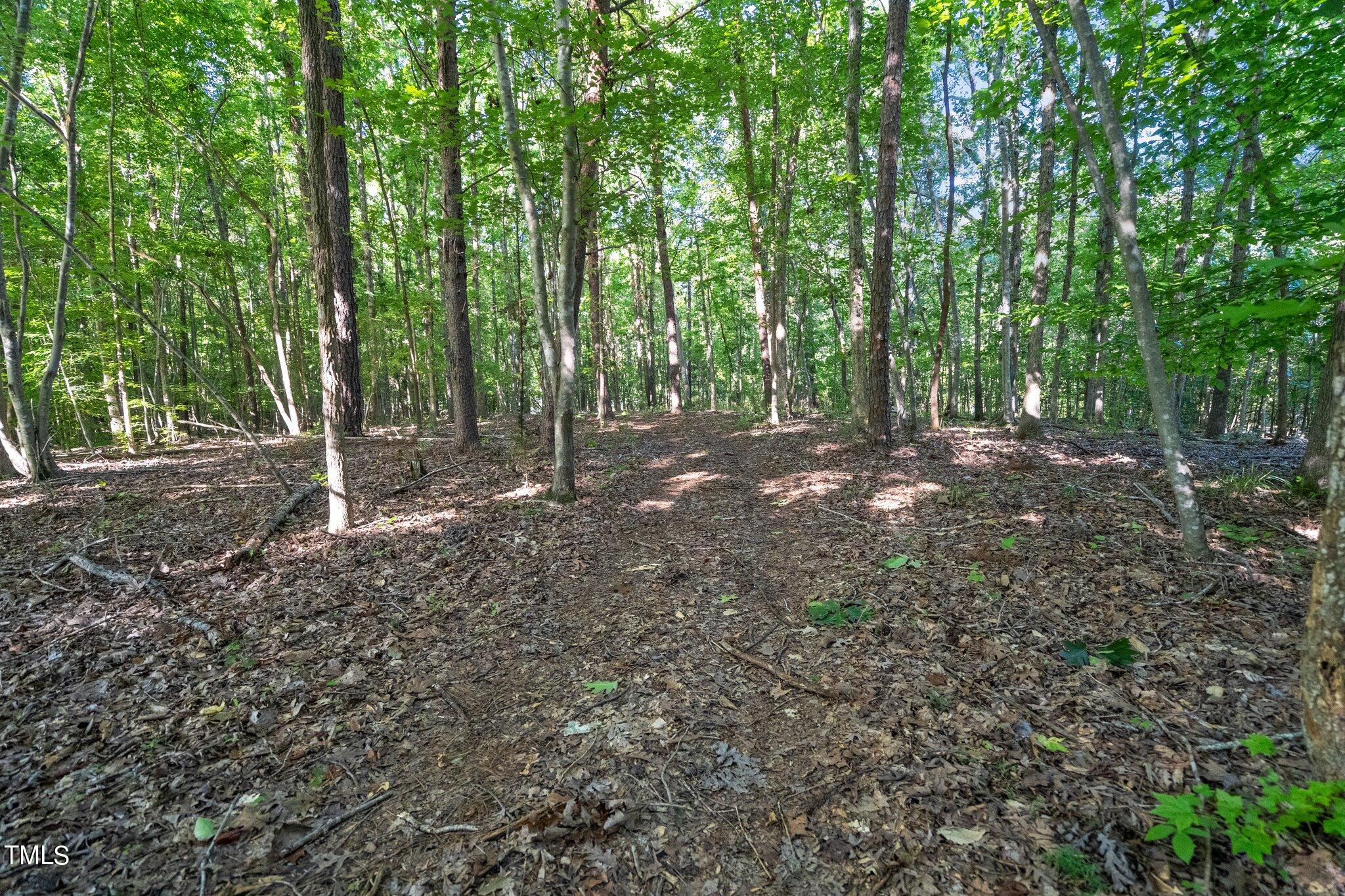 136 Waters Edge Loop Henderson, NC 27537 - Photo 16 of 47 16-web-or-mls-_NFP7136