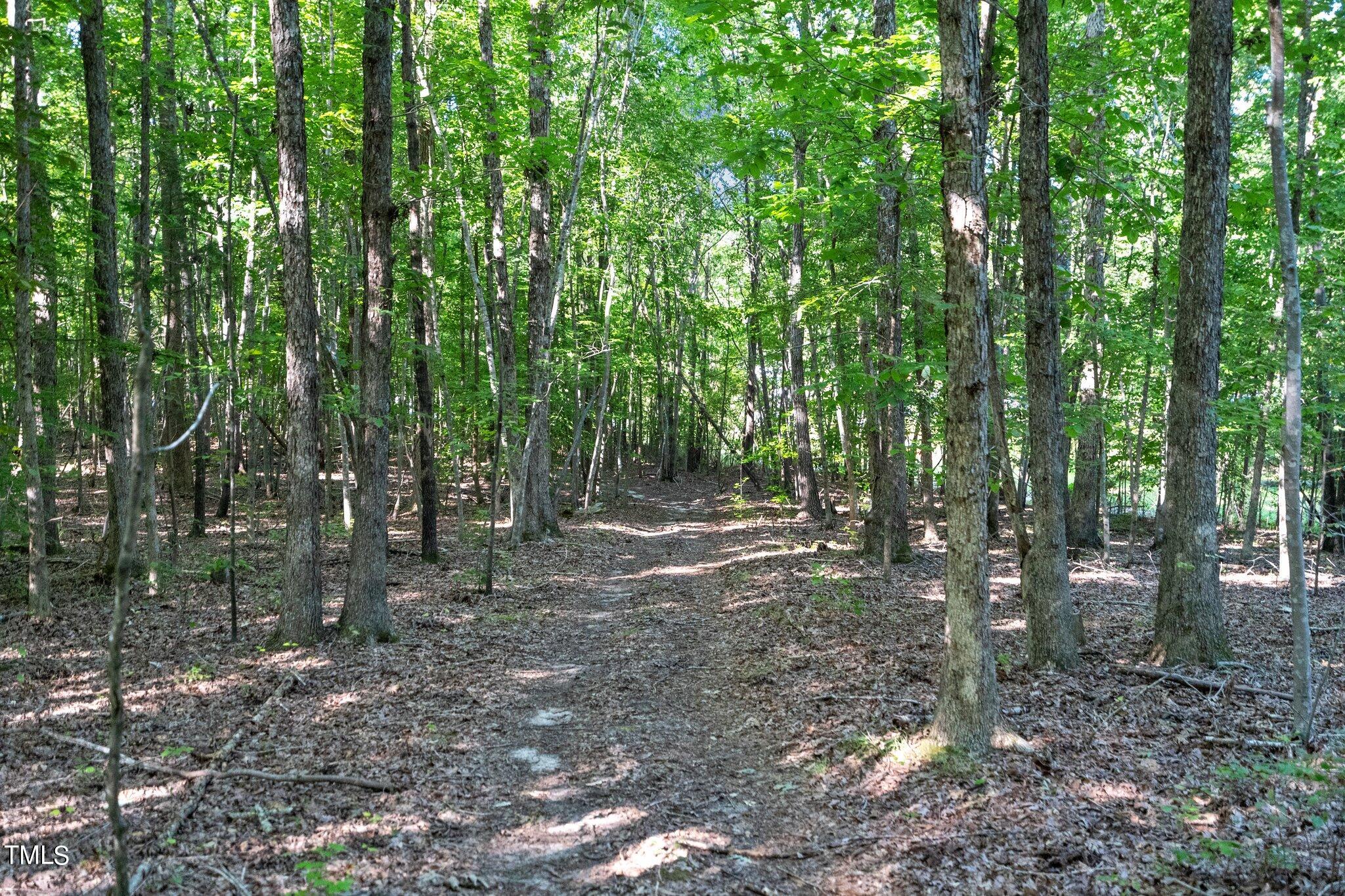 136 Waters Edge Loop Henderson, NC 27537 - Photo 17 of 47 17-web-or-mls-_NFP7137