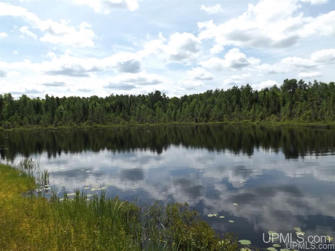Tbd South Olson Lake Road Michigamme, MI 49861 - Photo 6 of 25