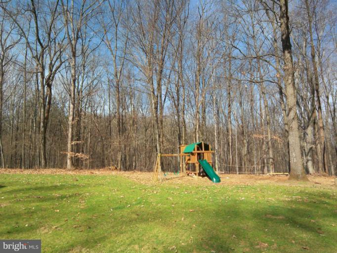 1226 Blue Mt Road Monkton, MD 21111 - Photo 19 of 30 a ground with lots of trees