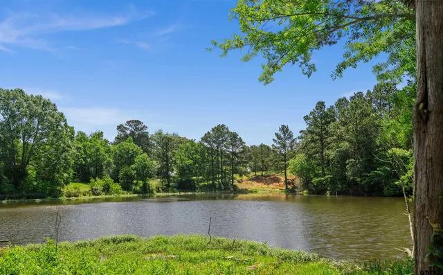 an aerial view of a houses with a yard