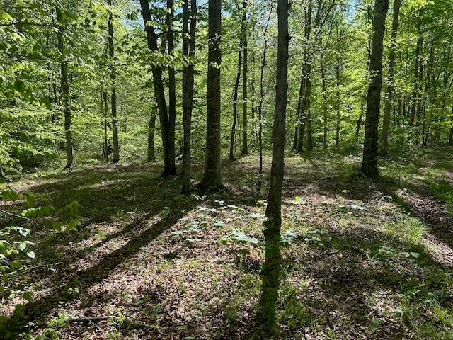 0 Mt Tussell Road Knifley, KY 42753 - Photo 41 of 46 Gallery Image 41