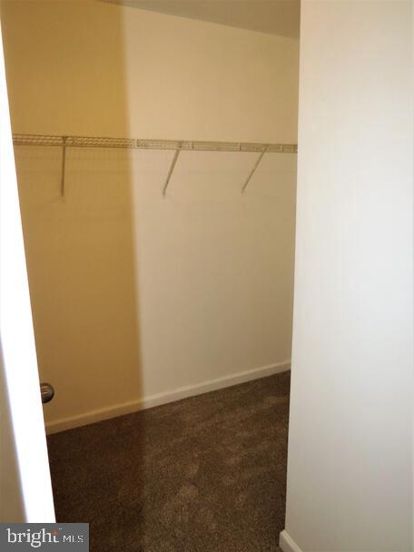23 Saxton Road Farmingdale, NJ 07727 - Photo 23 of 36 Primary Walk-in Closet