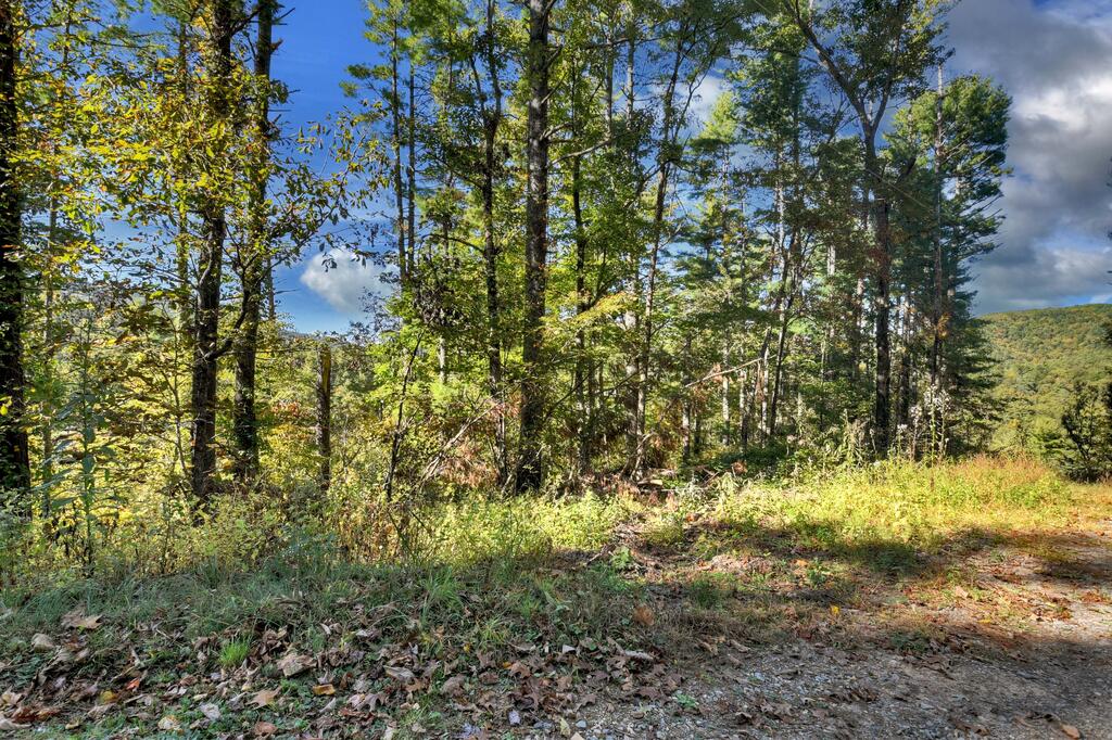 123 Bell Cp Rdg Road Blue Ridge, GA 30513 - Photo 4 of 18 Gallery Image 4