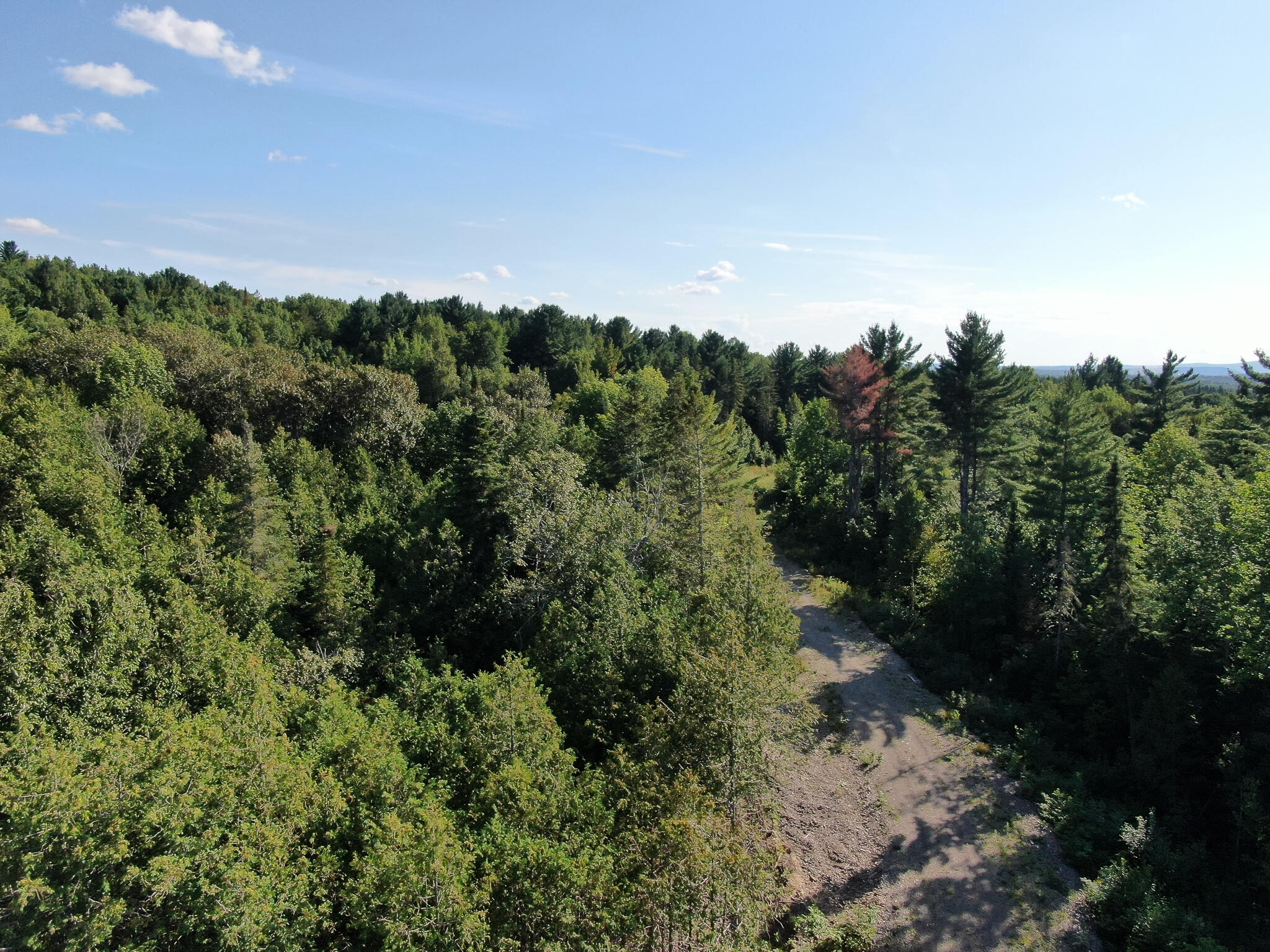 DJI_0529