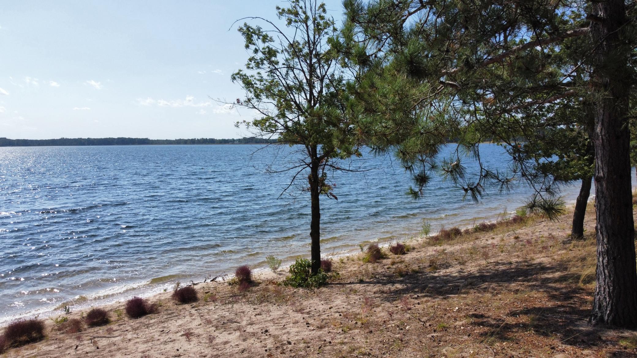 24126 County Road 19 Merrifield, MN 56465 - Photo 24 of 54