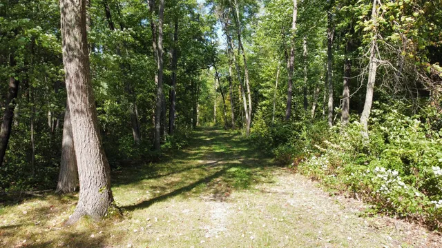 $520,000 | 24126 County Road 19, Merrifield, MN 56465