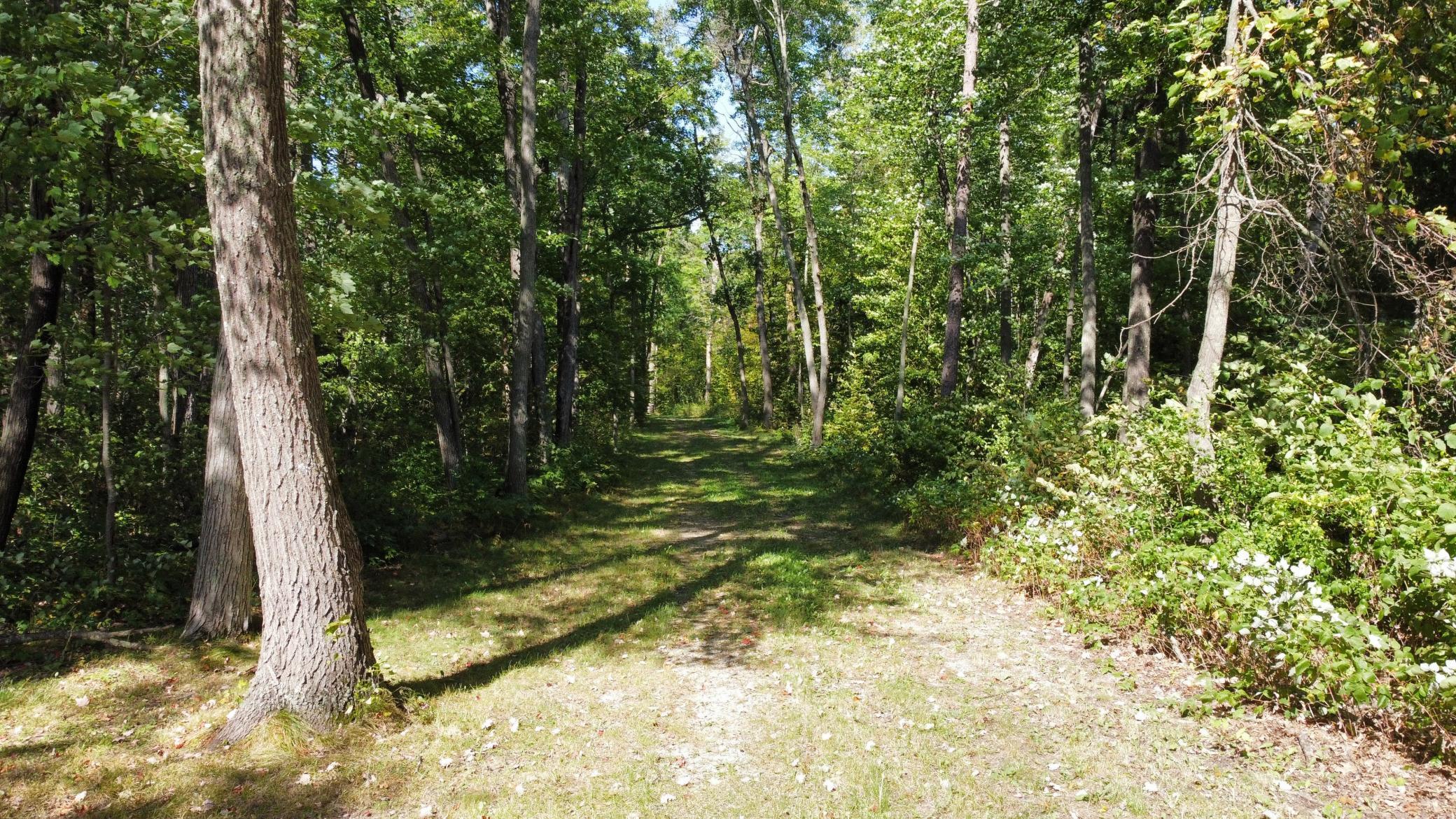 24126 County Road 19 Merrifield, MN 56465 - Photo 25 of 54