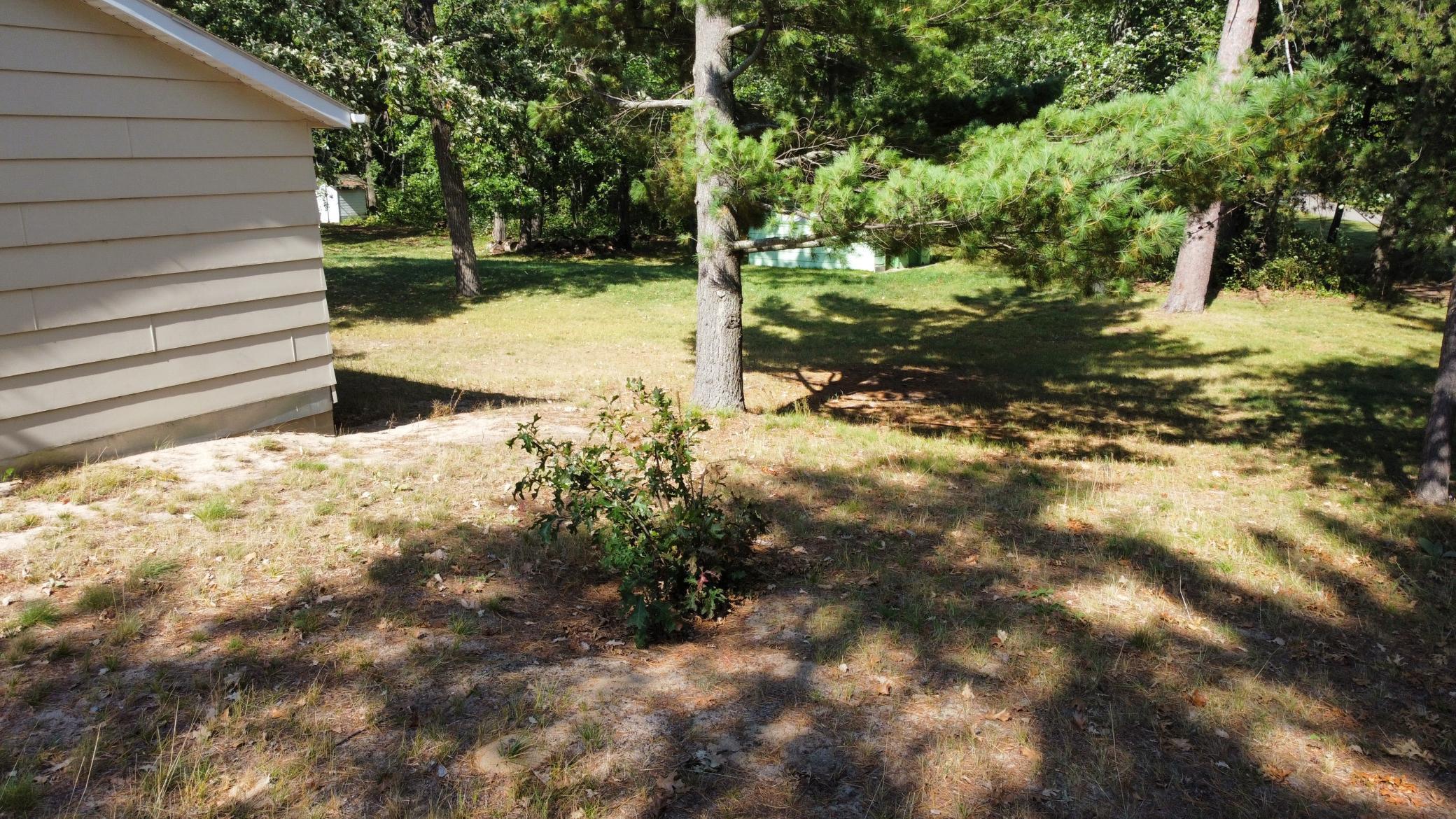 24126 County Road 19 Merrifield, MN 56465 - Photo 35 of 54