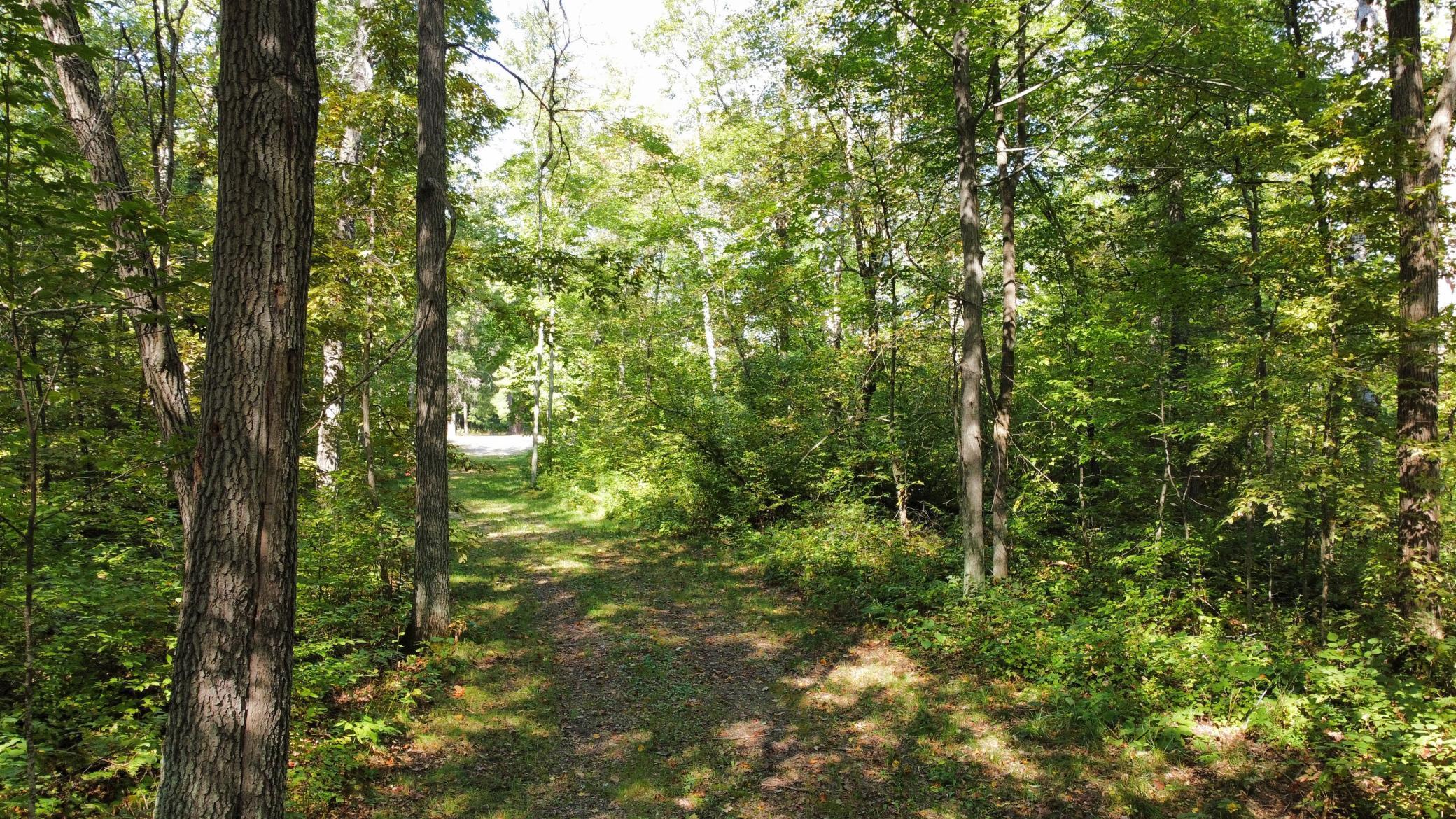 24126 County Road 19 Merrifield, MN 56465 - Photo 50 of 54