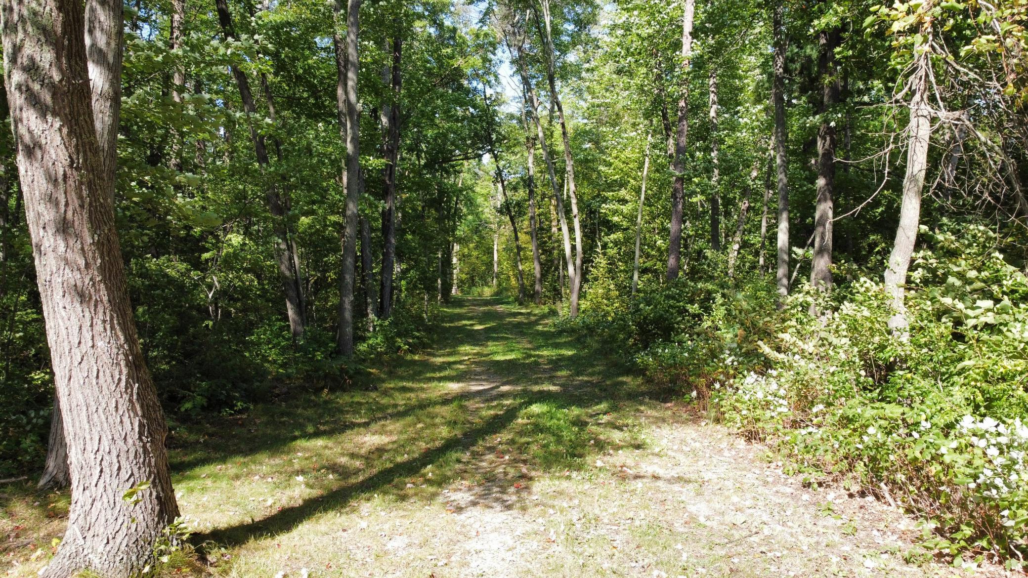 24126 County Road 19 Merrifield, MN 56465 - Photo 52 of 54