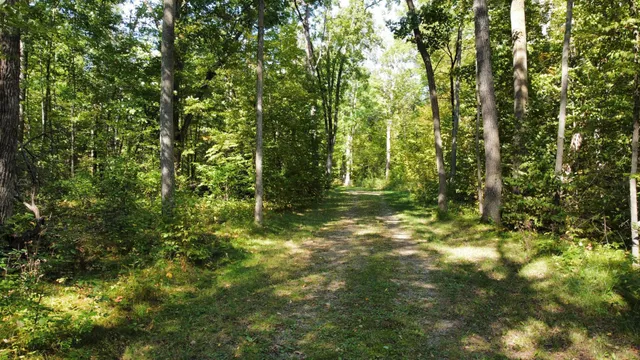 $520,000 | 24126 County Road 19, Merrifield, MN 56465