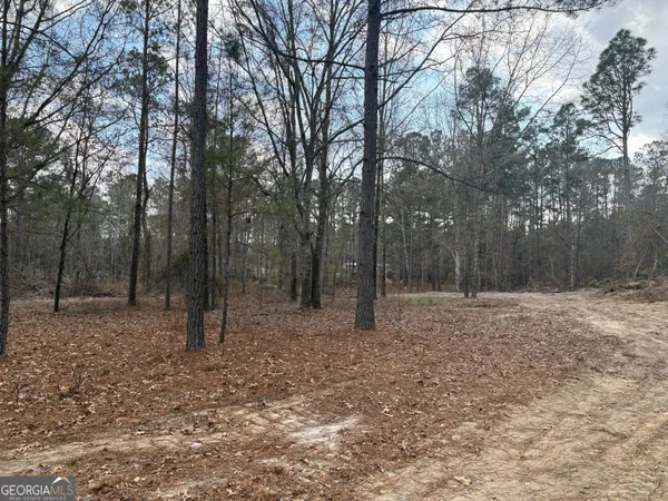 a backyard of a house with trees