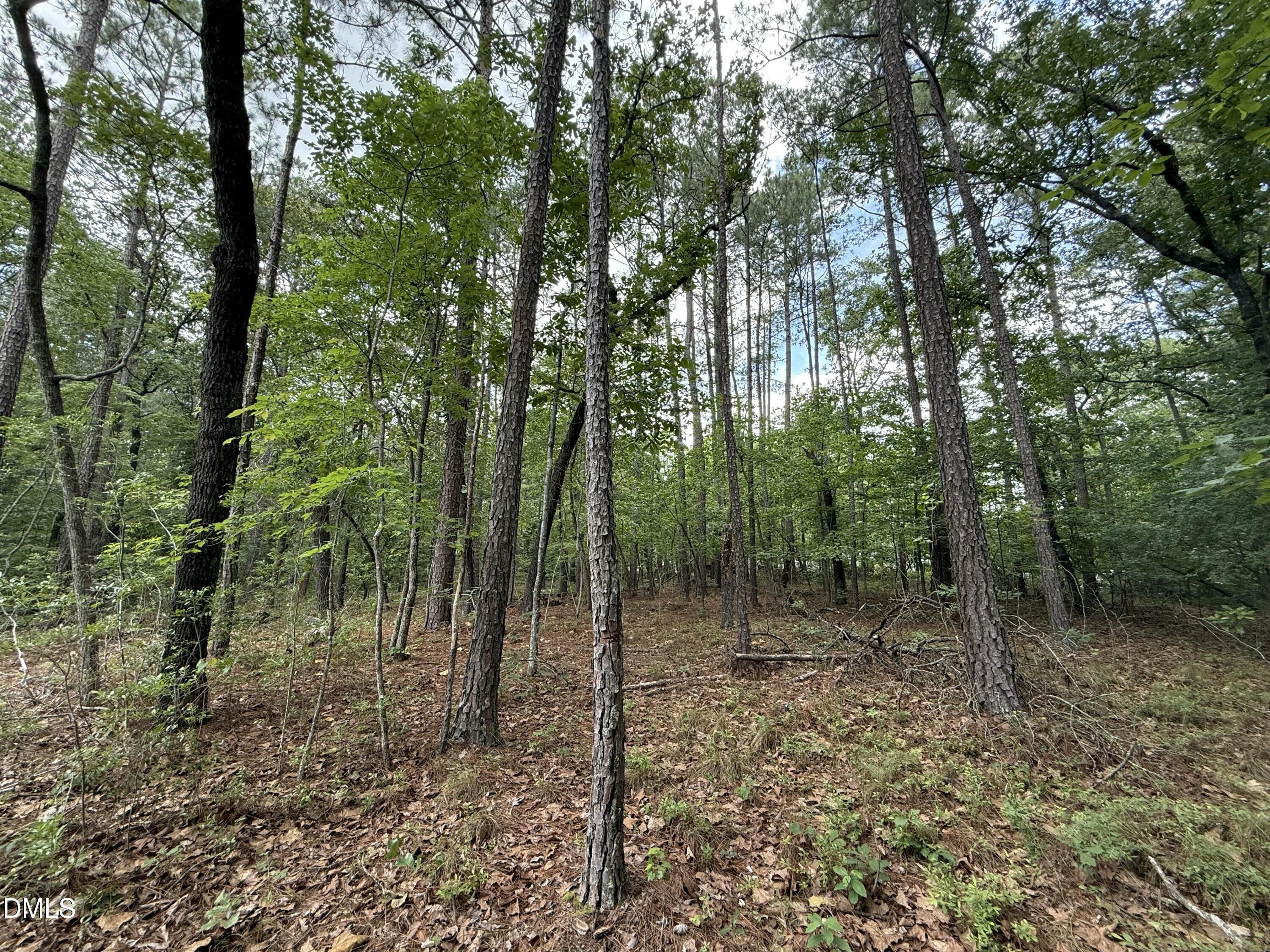 0 Elfman Drive Spring Lake, NC 28390 - Photo 16 of 40 a view of a forest