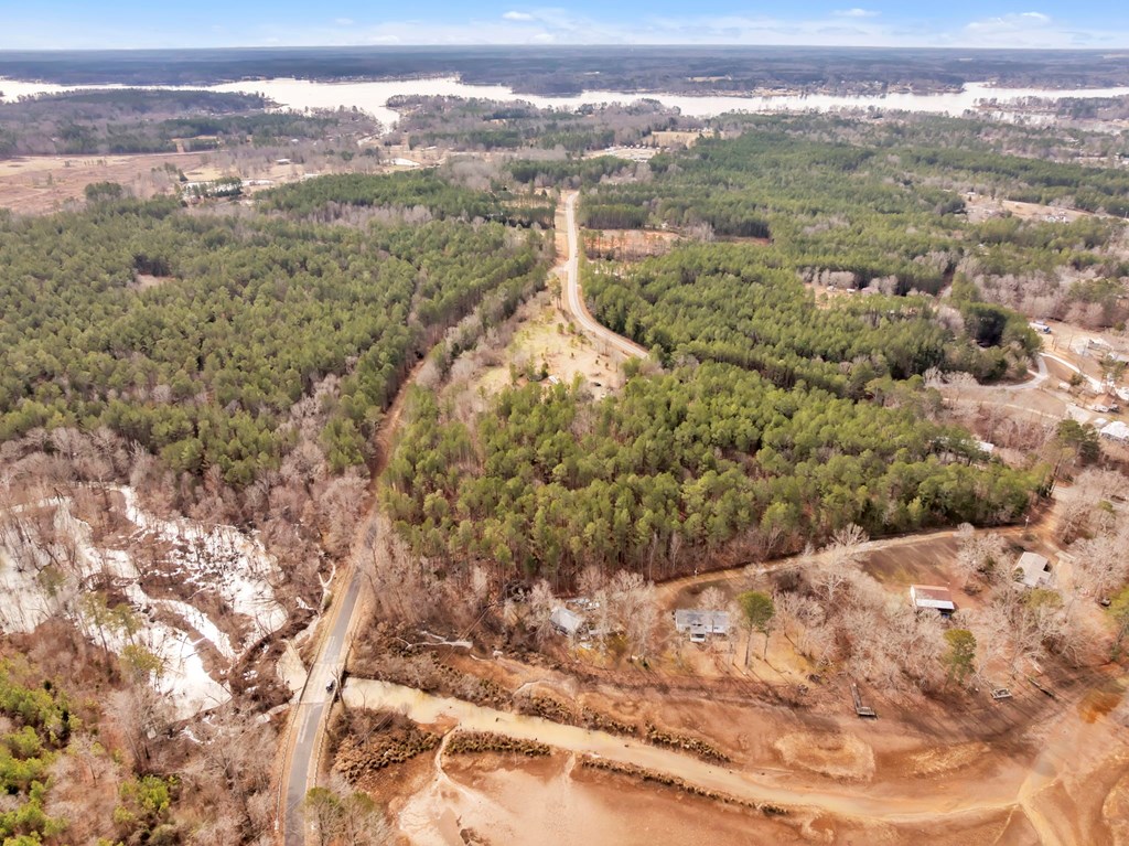 0 Bethabara Church Road Cross Hill, SC 29332 - Photo 4 of 18