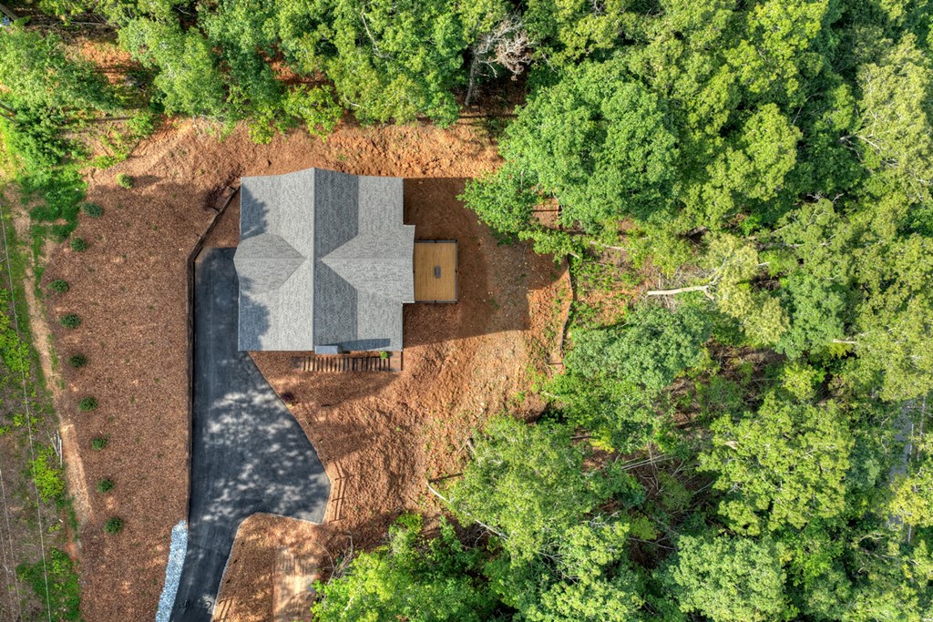 1729 Barnes Chapel Road Blue Ridge, GA 30513 - Photo 56 of 62