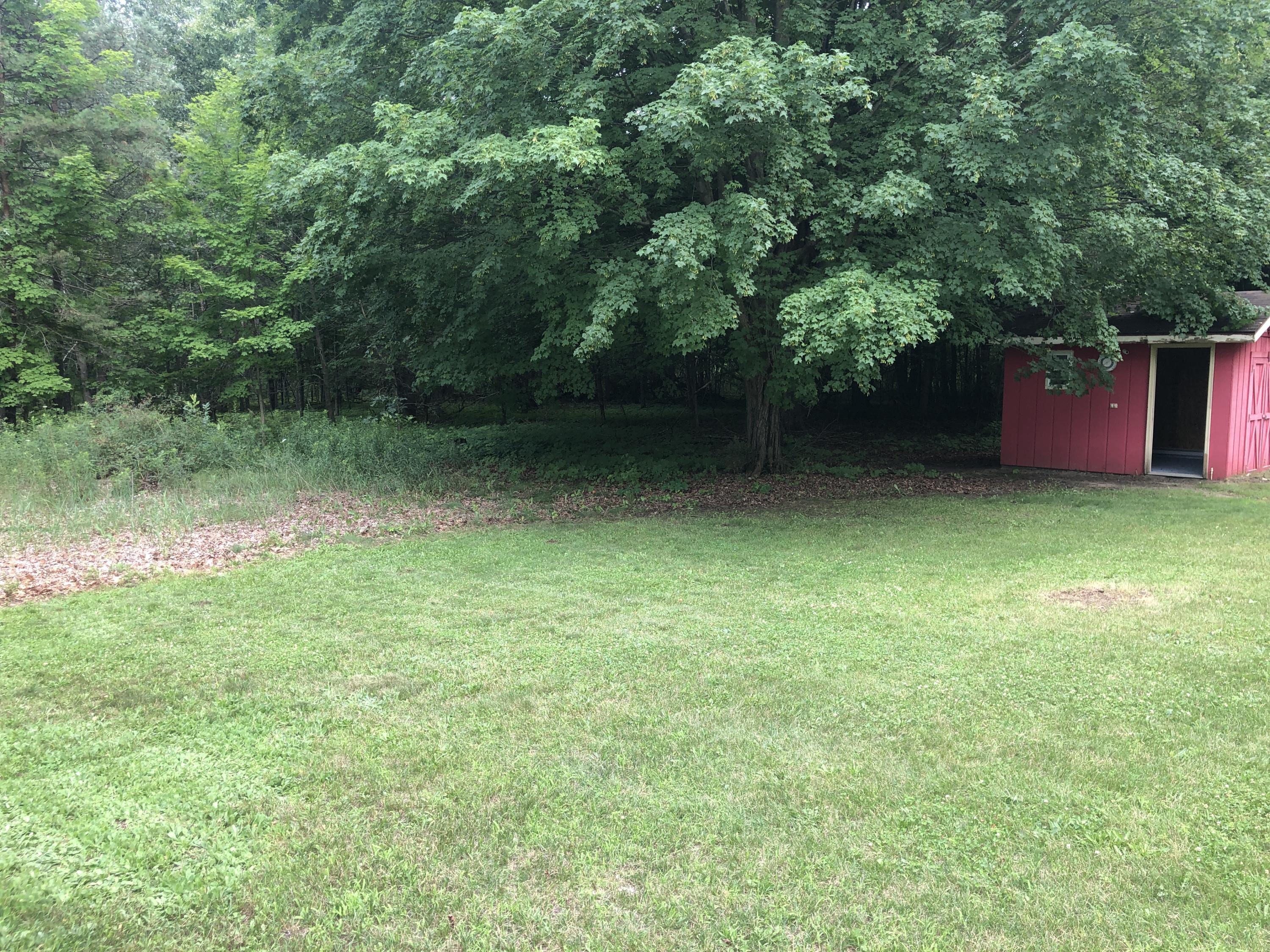 6210 Whites Bridge Road Belding, MI 48809 - Photo 21 of 30 IMG_0095