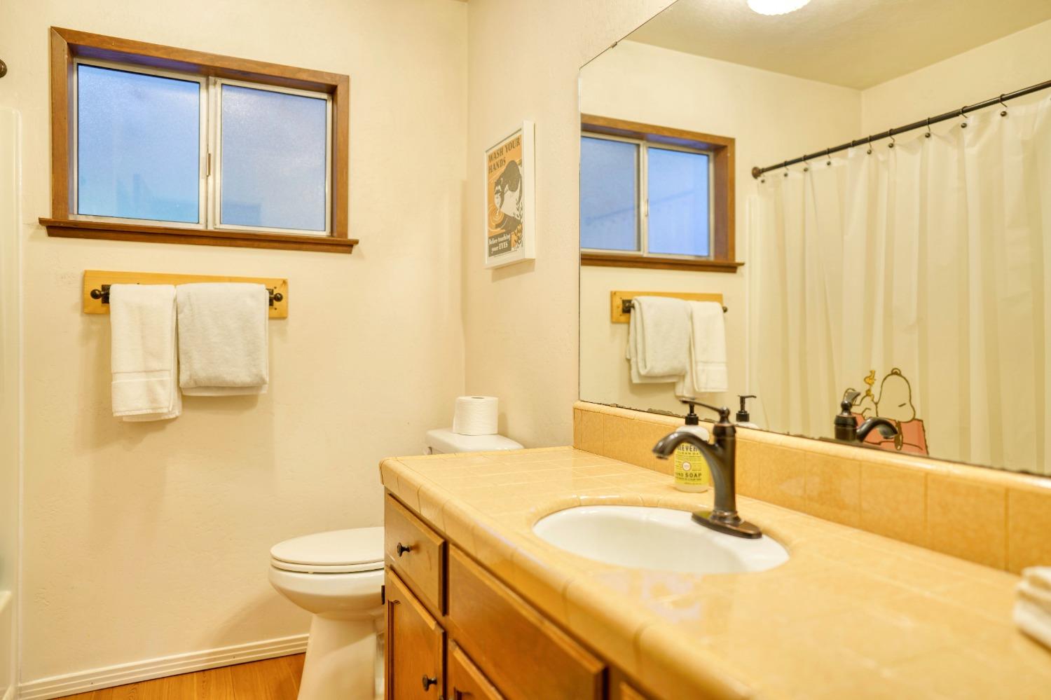 42917 Scenic Drive Oakhurst, CA 93644 - Photo 28 of 50 a bathroom with a sink and a mirror