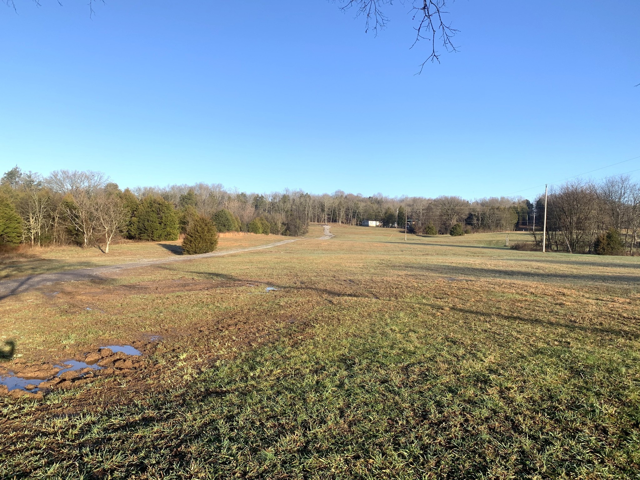 784 Speck Road Lebanon, TN 37087 - Photo 35 of 35 a view of a field with trees in background