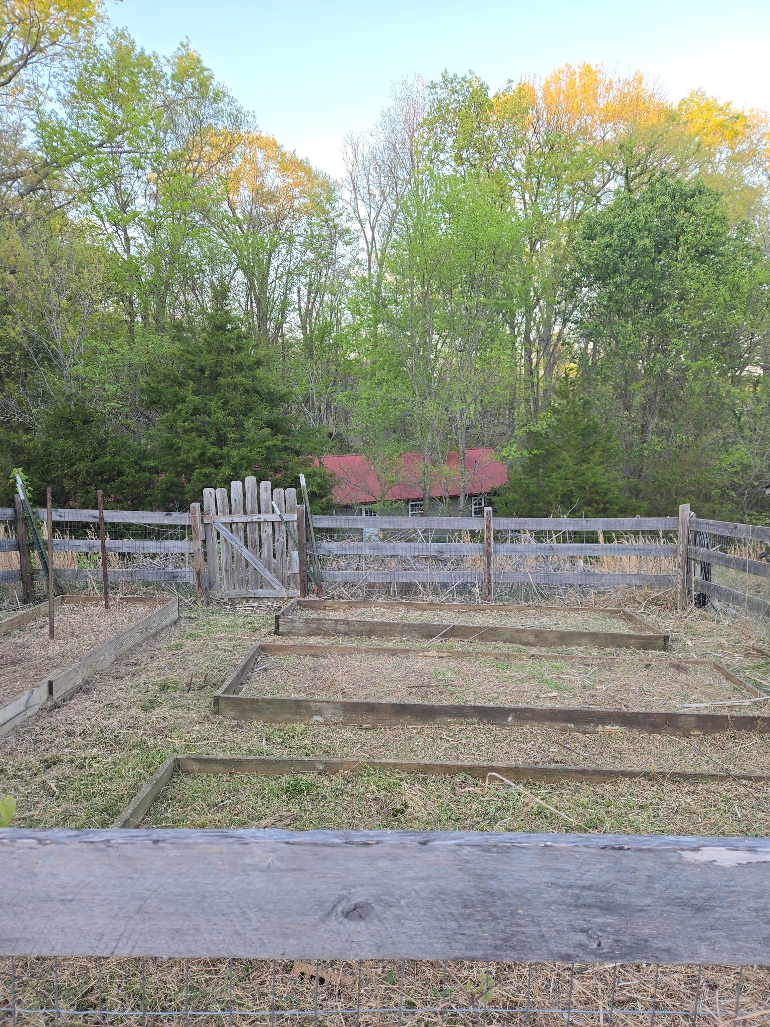 3625 Mitchell Road Lebanon, TN 37087 - Photo 52 of 76