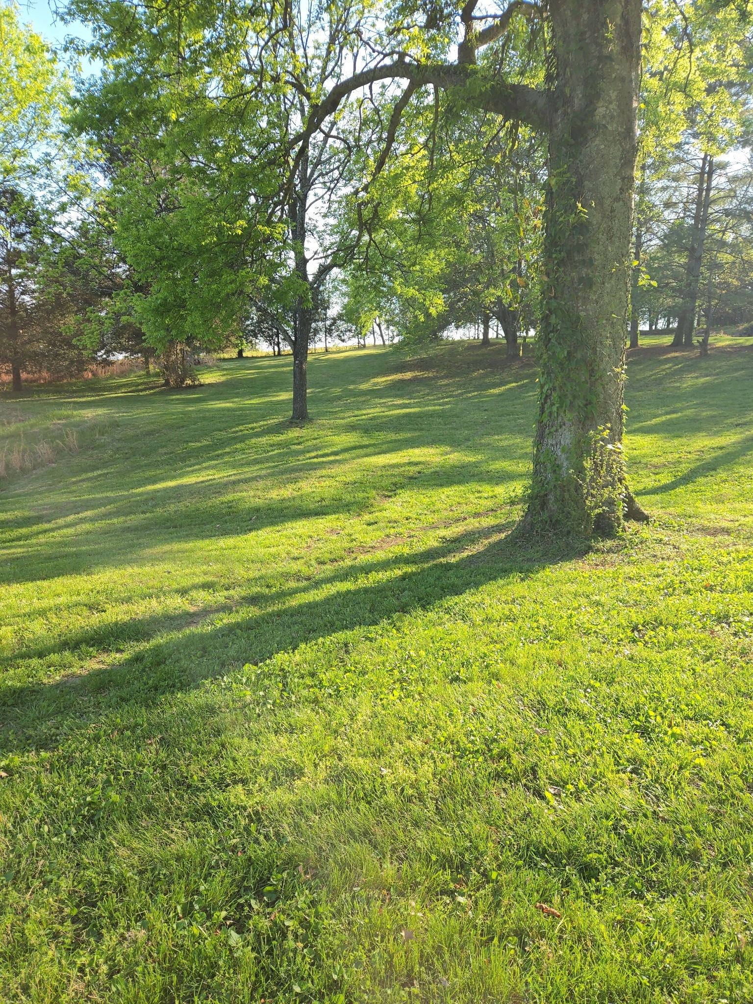 3625 Mitchell Road Lebanon, TN 37087 - Photo 54 of 76