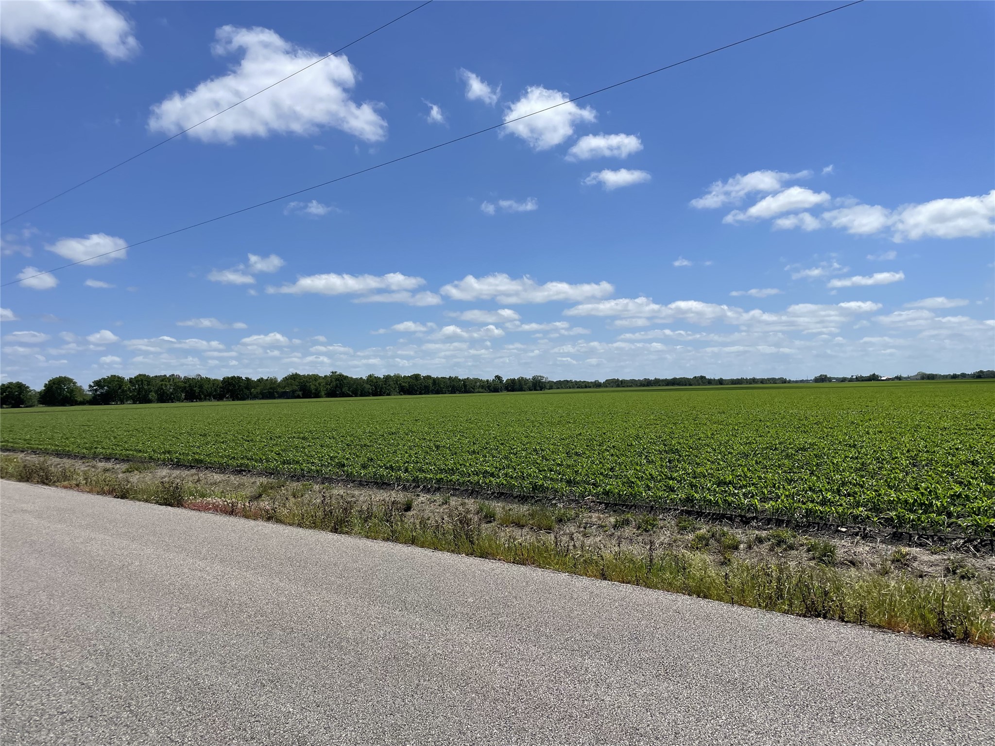 0 Schultz Road Damon, TX 77430 - Photo 2 of 9
