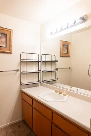 a bathroom with a sink and a large mirror