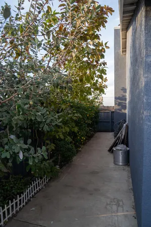a view of a street with plants and trees
