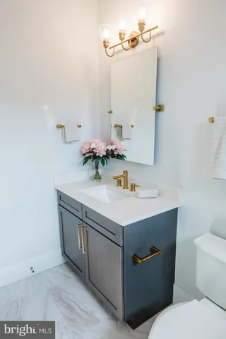 a bathroom with a sink vanity and a toilet