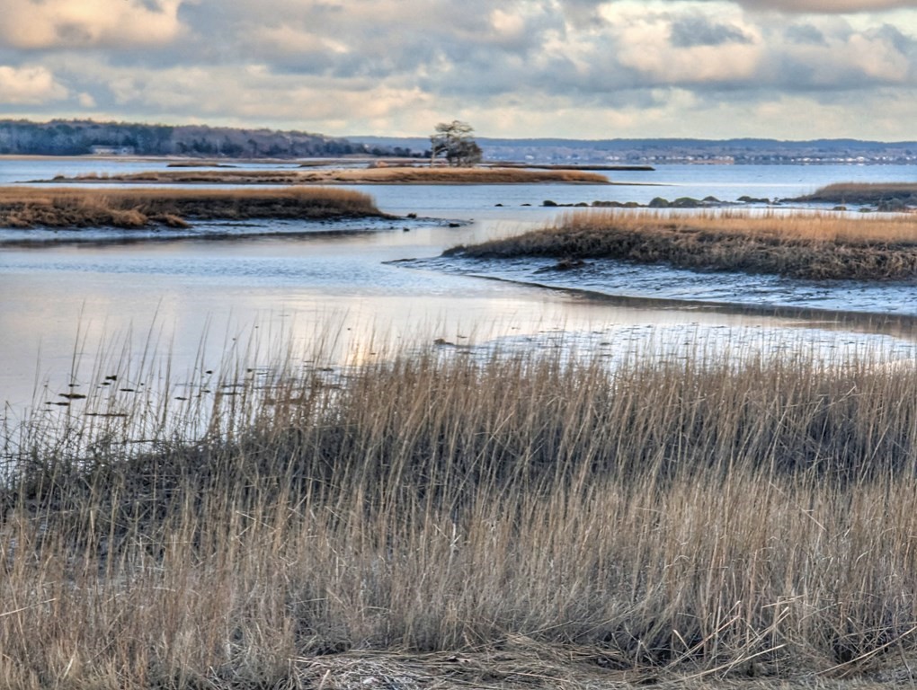 120 Cromesett Road Wareham, MA 02571 - Photo 12 of 12 a view of ocean with large trees