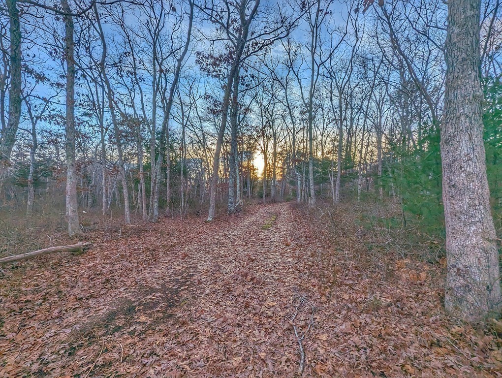 120 Cromesett Road Wareham, MA 02571 - Photo 5 of 12 a backyard of a house with lots of green space