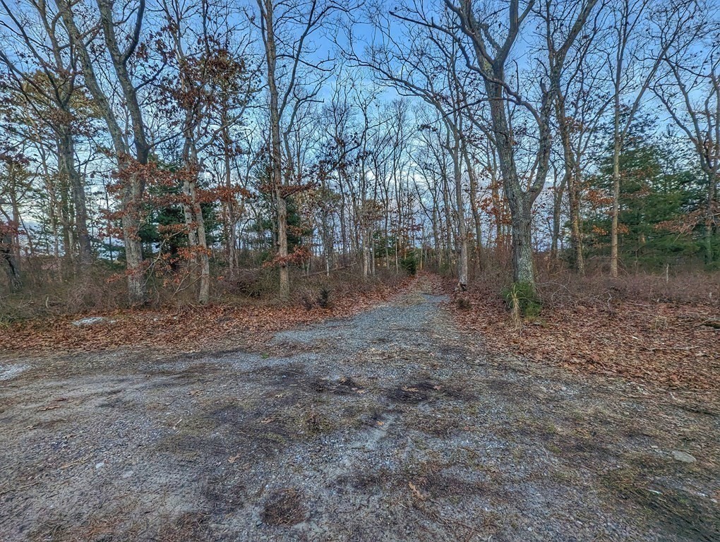 120 Cromesett Road Wareham, MA 02571 - Photo 6 of 12 a backyard of a house with lots of green space