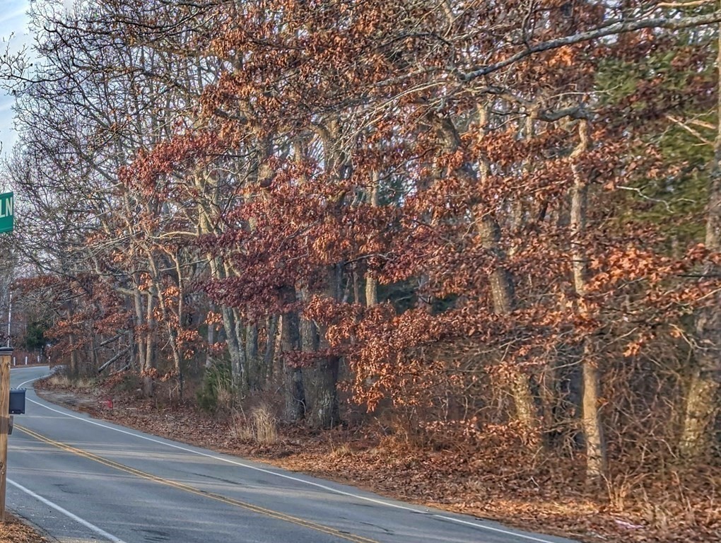 120 Cromesett Road Wareham, MA 02571 - Photo 10 of 12 a view of a tree with side of a tree